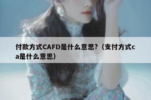 付款方式CAFD是什么意思?（支付方式ca是什么意思） 第1张