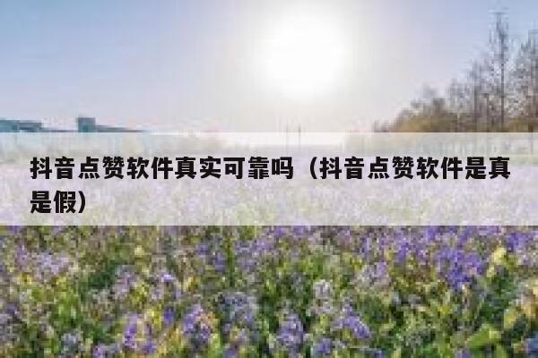 抖音点赞软件真实可靠吗（抖音点赞软件是真是假） 第1张