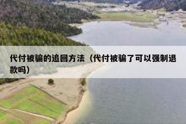 代付被骗的追回方法（代付被骗了可以强制退款吗） 第1张