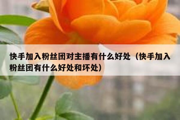 快手加入粉丝团对主播有什么好处（快手加入粉丝团有什么好处和坏处） 第1张