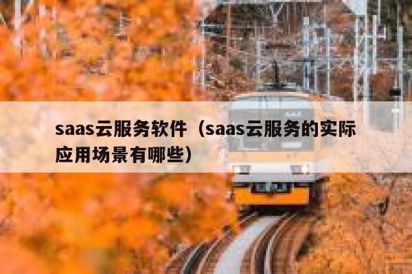 saas云服务软件（saas云服务的实际应用场景有哪些） 第1张
