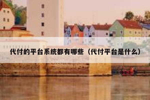 代付的平台系统都有哪些（代付平台是什么） 第1张