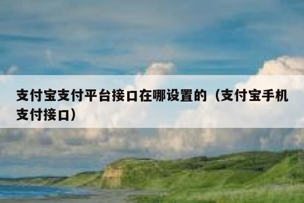支付宝支付平台接口在哪设置的（支付宝手机支付接口） 第1张