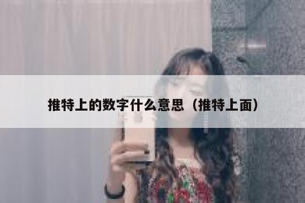 推特上的数字什么意思（推特上面） 第1张