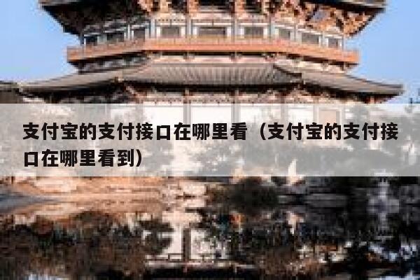 支付宝的支付接口在哪里看（支付宝的支付接口在哪里看到） 第1张