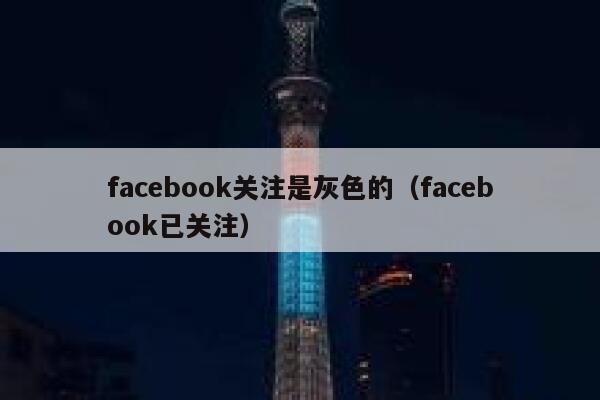 facebook关注是灰色的（facebook已关注） 第1张