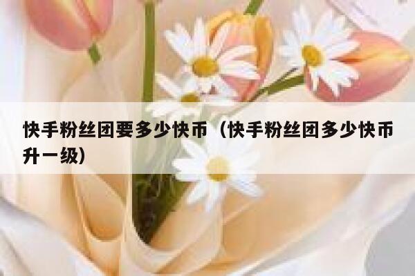 快手粉丝团要多少快币（快手粉丝团多少快币升一级） 第1张