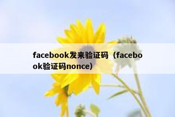 facebook发来验证码（facebook验证码nonce） 第1张