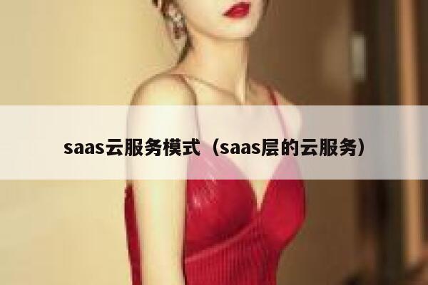 saas云服务模式（saas层的云服务） 第1张
