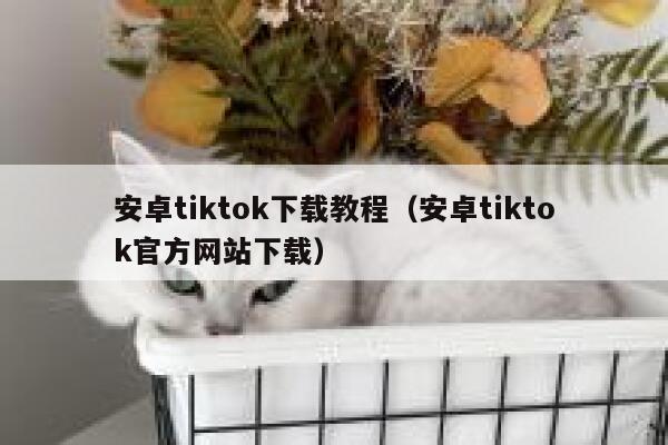 安卓tiktok下载教程（安卓tiktok官方网站下载） 第1张