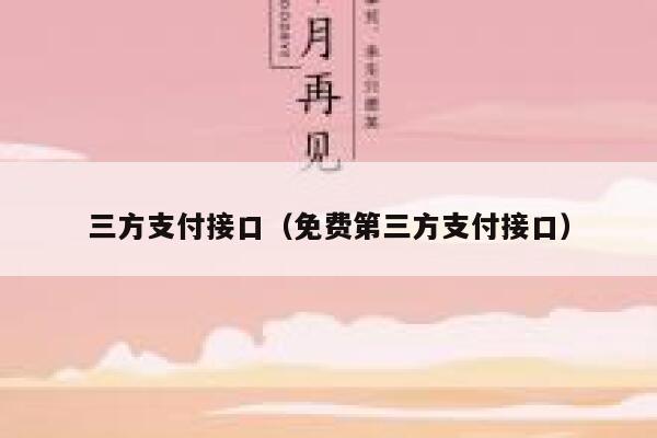 三方支付接口（免费第三方支付接口） 第1张