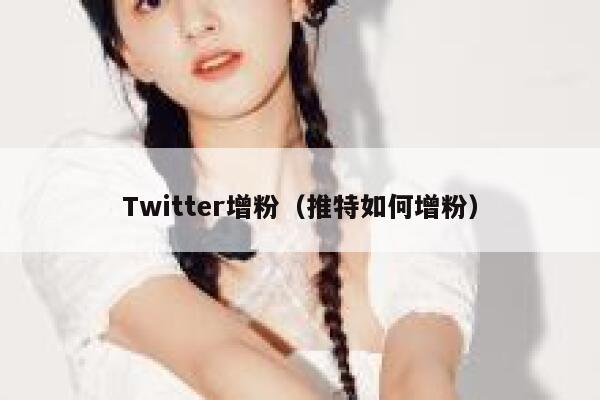 Twitter增粉（推特如何增粉） 第1张