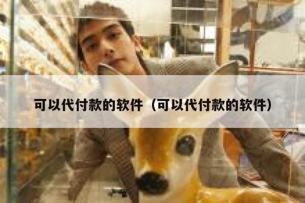 可以代付款的软件（可以代付款的软件） 第1张