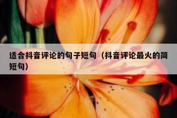 适合抖音评论的句子短句（抖音评论最火的简短句） 第1张