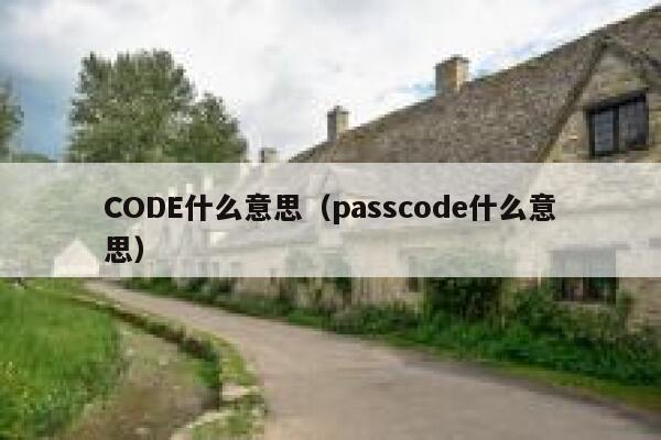 CODE什么意思（passcode什么意思） 第1张