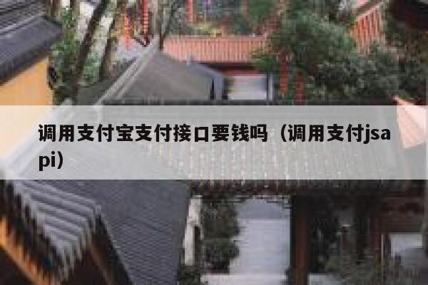 调用支付宝支付接口要钱吗（调用支付jsapi） 第1张