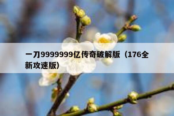 一刀9999999亿传奇破解版（176全新攻速版） 第1张
