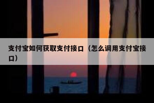 支付宝如何获取支付接口（怎么调用支付宝接口） 第1张