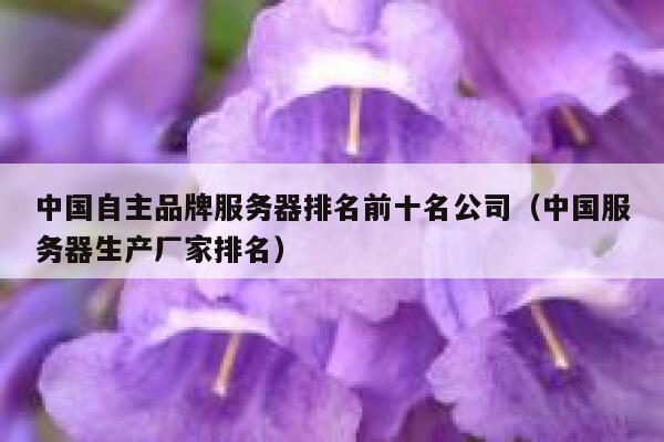 中国自主品牌服务器排名前十名公司（中国服务器生产厂家排名） 第1张