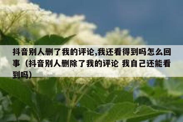 抖音别人删了我的评论,我还看得到吗怎么回事（抖音别人删除了我的评论 我自己还能看到吗） 第1张