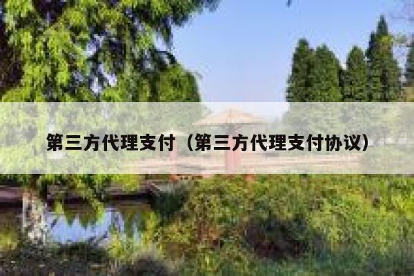 第三方代理支付（第三方代理支付协议） 第1张