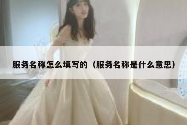 服务名称怎么填写的（服务名称是什么意思） 第1张