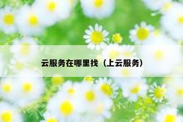 云服务在哪里找（上云服务） 第1张