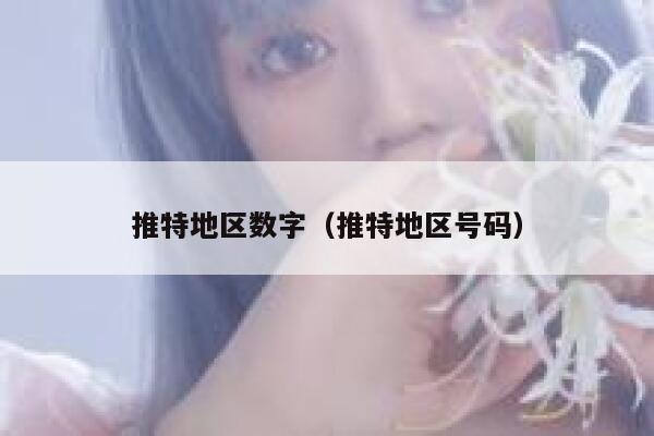 推特地区数字（推特地区号码） 第1张