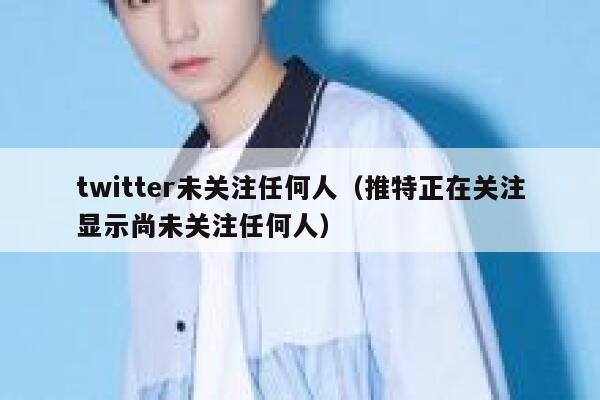 twitter未关注任何人（推特正在关注显示尚未关注任何人） 第1张