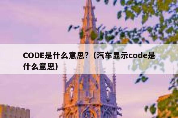 CODE是什么意思?（汽车显示code是什么意思） 第1张