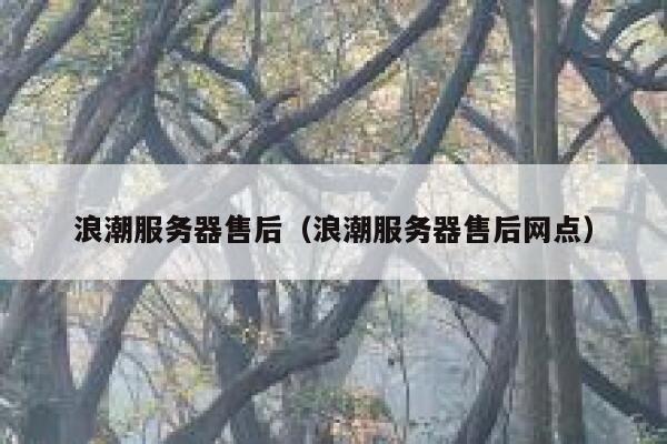浪潮服务器售后（浪潮服务器售后网点） 第1张