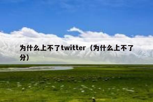 为什么上不了twitter（为什么上不了分） 第1张