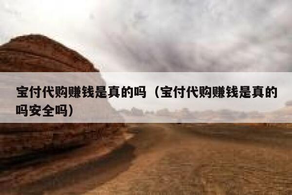 宝付代购赚钱是真的吗（宝付代购赚钱是真的吗安全吗） 第1张