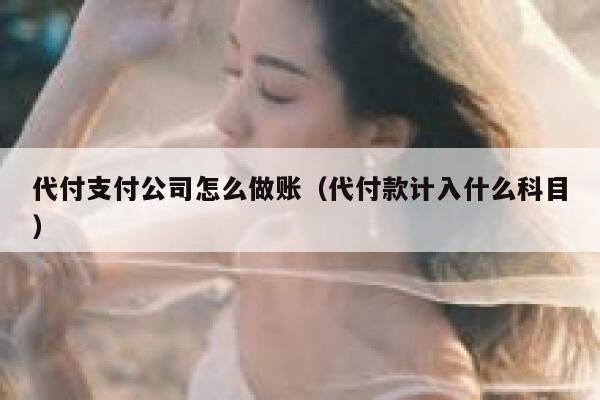 代付支付公司怎么做账（代付款计入什么科目） 第1张