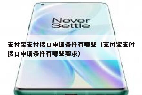 支付宝支付接口申请条件有哪些（支付宝支付接口申请条件有哪些要求） 第1张
