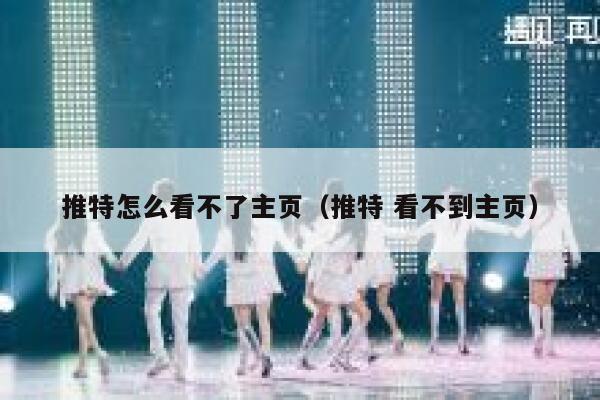 推特怎么看不了主页（推特 看不到主页） 第1张