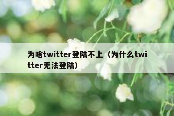 为啥twitter登陆不上（为什么twitter无法登陆） 第1张