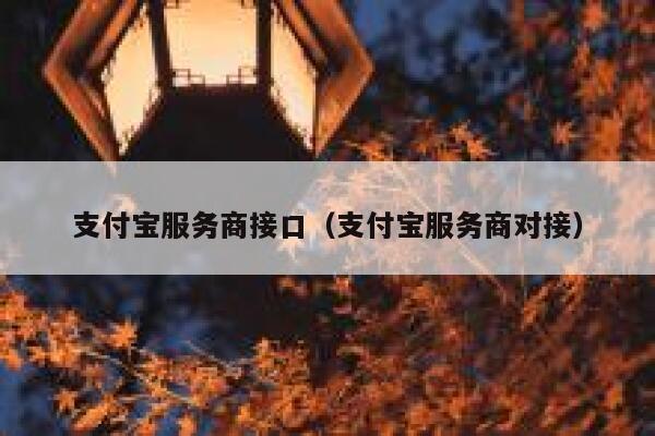 支付宝服务商接口（支付宝服务商对接） 第1张
