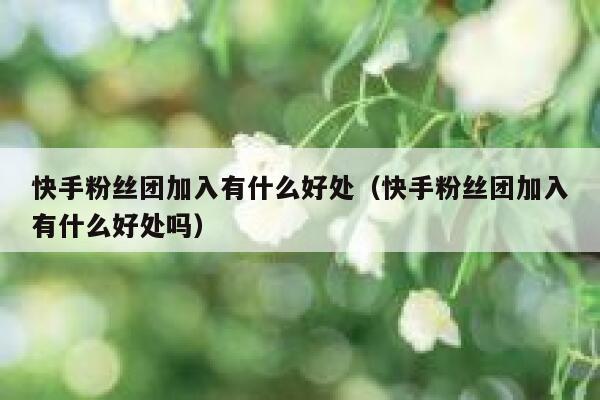 快手粉丝团加入有什么好处（快手粉丝团加入有什么好处吗） 第1张