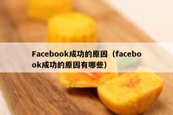 Facebook成功的原因（facebook成功的原因有哪些） 第1张