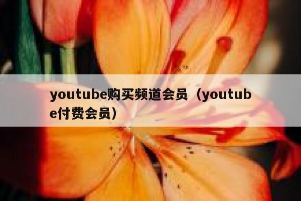 youtube购买频道会员（youtube付费会员） 第1张