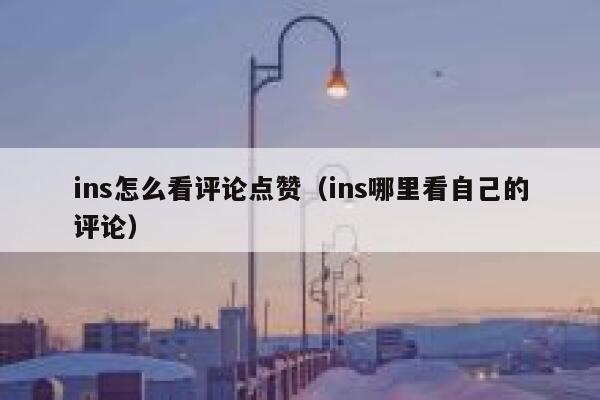 ins怎么看评论点赞（ins哪里看自己的评论） 第1张