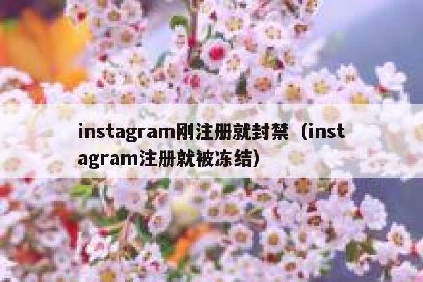 instagram刚注册就封禁（instagram注册就被冻结） 第1张