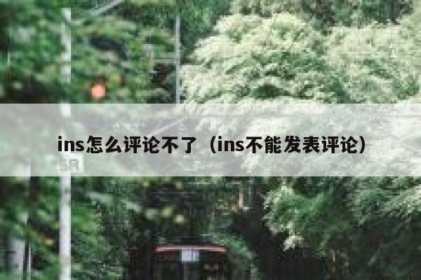 ins怎么评论不了（ins不能发表评论） 第1张