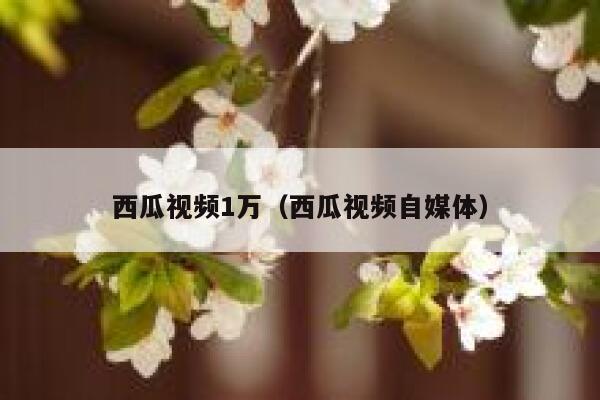 西瓜视频1万（西瓜视频自媒体） 第1张