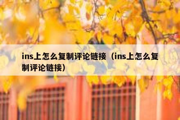 ins上怎么复制评论链接（ins上怎么复制评论链接） 第1张
