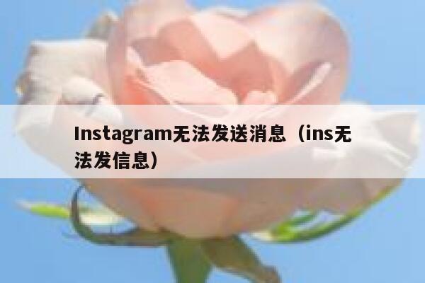 Instagram无法发送消息（ins无法发信息） 第1张