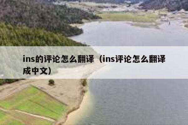 ins的评论怎么翻译（ins评论怎么翻译成中文） 第1张