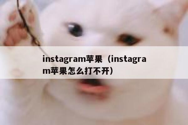 instagram苹果（instagram苹果怎么打不开） 第1张