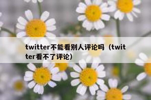 twitter不能看别人评论吗（twitter看不了评论） 第1张